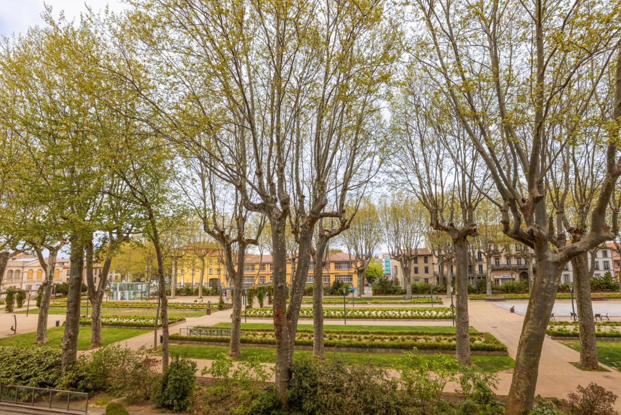 Appartamento L'Art De Gambetta Conciergeriedamecarcas Carcassonne Esterno foto